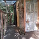 La De L'oiseau Oda ve Kahvaltı 3*