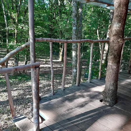 B&B La De L'oiseau Couze-et-Saint-Front