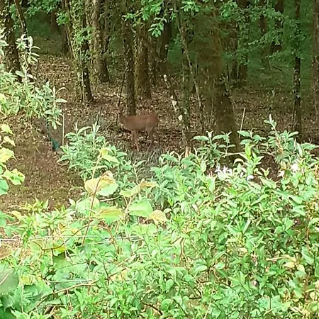 B&B La De L'oiseau 3*