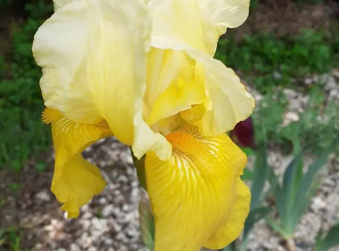 La De L'oiseau فندق مبيت وإفطار